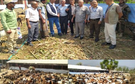 الدعيس و"الفاو" يطلّعان على إجراءات الحجر البيطري للماعز في مديرية المسراخ بتعز..