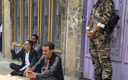 ضبط دجاج فاسد بتعز.. موقف صارم من مدير عام "القاهرة" يحمي صحة المواطنين...