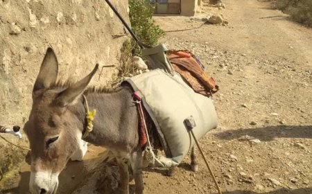 لأول مرة منذ 15 سنة.. أزمة مياه تعصف بمنطقة الحنكة في شبوة