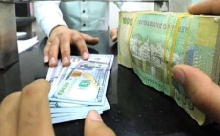 "محلل اقتصادي: الريال اليمني مطلوب بقوة.. والبنك المركزي يكسر مضاربات الصرافة"