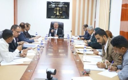 مجلس القضاء الأعلى يكلف التفتيش القضائي بمعالجة نقص القضاء...