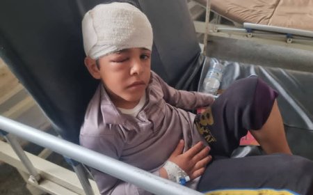 كلاب ضالة ومسعورة تهدد حياة الأهالي في مدينة المحابشة بحجة حجة 