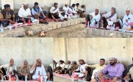 وفد بارز من قيادات تهامة يلتقي محافظ أبين ومدير أمنها...