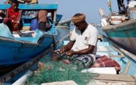 صيادو تهامة يصفون أوضاعهم بـ"الكارثية"،..