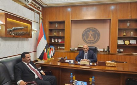 فارس شعفل: نؤيد قرارات الرئيس عيدروس الزبيدي ..وهي تمثلني 