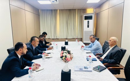 وزير المياه والبيئة يبحث مع المفوضية السامية تعزيز الشراكة في قضايا المناخ  