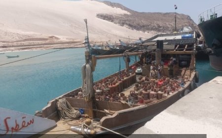 هيئة المصائد السمكية في سقطرى تؤكد انقطاع الاتصال بسفينة تقل 5 أشخاص...