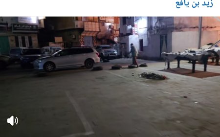 ناشط يكشف: تم البسط على "فرزة الشيخ عثمان" بكريتر 