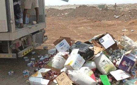 صحة البيئة في مديرية المنصورة تتلف 6 أطنان من المواد الغذائية الفاسدة...