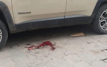 عاجل.. اغتيال مديرة صندوق النظافة والتحسين في تعز