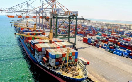 نفي خبر سقوط رافعة حاويات في ميناء عدن