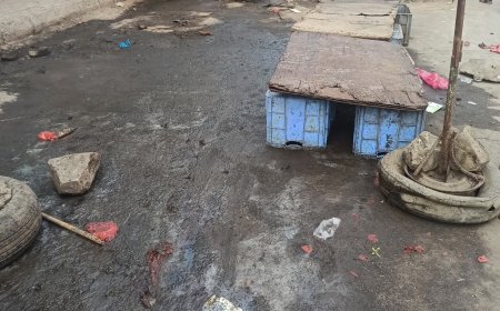 عدن..روائح كريهة من سوق البلدية بكريتر تثير استياء الأهالي ودعوات للتدخل العاجل(صورة)