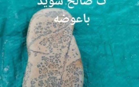 بـ 8750 جنيها إسترلينيا: ناشط يعرض خريطة حجرية قديمة للبيع توثق طريق القوافل بشبوة
