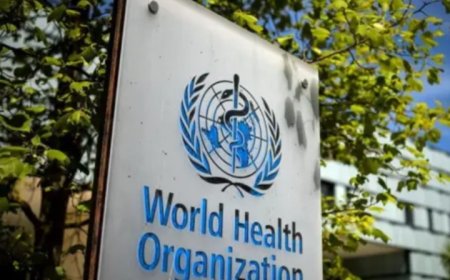 الصحة العالمية تكشف عن تسجيل تفشٍ واسع لوباء الكوليرا في اليمن....