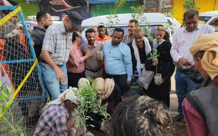 عاجل: شباب ونساء تعز يخلّدون ذكرى الشهيدة افتهان المشهري بتنفيذ هذه الخطوة نالت الإعجاب عقب توديعها قبل قليل