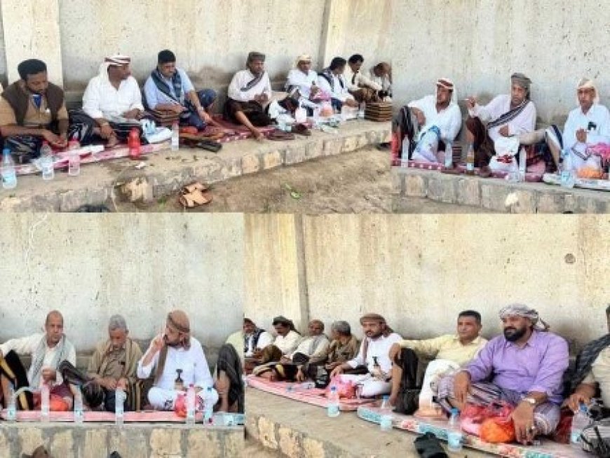 وفد بارز من قيادات تهامة يلتقي محافظ أبين ومدير أمنها...