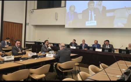 اللجنة الوطنية للتحقيق تناقش مع المجموعة العربية في مجلس حقوق الإنسان مستجدات الأوضاع الحقوقية باليمن...
