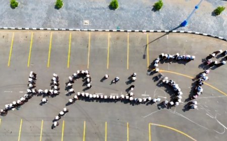 المؤسسة الوطنية لمكافحة السرطان بعدن تدشن فعاليات الشهر العالمي للتوعية بسرطان الثدي...