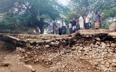 رئيس فريق التوجيه والرقابة الرئاسي"الشعيبي" يتفقد أضرار السيول في جزول بمديرية حجرحضرموت