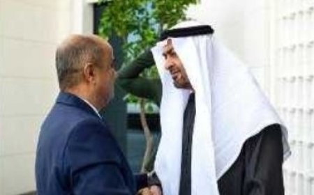 بن بريك يبحث مع بن زايد تعزيز العلاقات والتعاون المشترك....