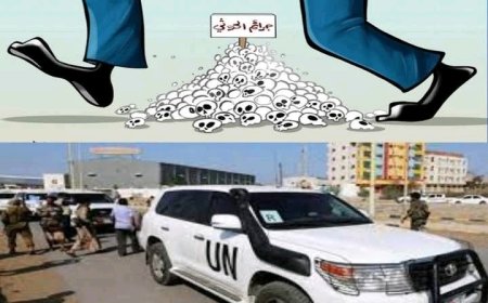 مؤسسة «F.D.D»: الأمم المتحدة مكنت الميليشيات الحو..ثية من ترسيخ نفوذهم في اليمن!"..