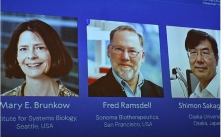 نوبل للطب 2025 تكرّم مكتشفي آليات التحمل المناعي...