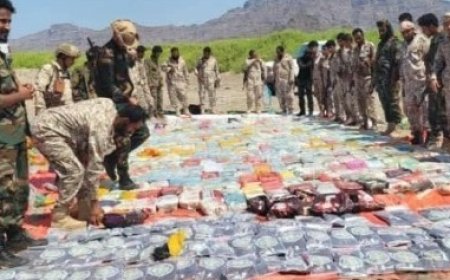 الحملة الامنية المشتركة في الصبيحة تضبط طن من المواد المخدّرة...