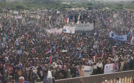 عاجل: بحضور الزُبيدي الضالع تحتشد بالآلاف احتفاءً بذكرى ثورة 14 أكتوبر 