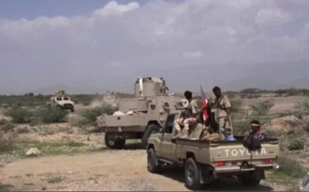 القوات الجنوبية تتصدى لهجوم عنيف للقاعدة في المحفد..