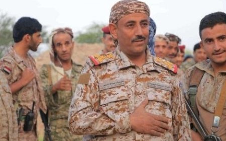 تعيين العميد القامص قائدا لمحور ذمار قائدا للواء 203 مشاة..