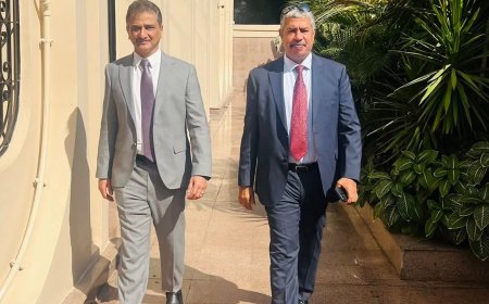 المحافظ لملس يتفقد السفارة اليمنية في مصر