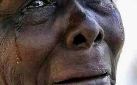 مسؤولة أممية: الوضع في الفاشر كارثي  بكل المقاييس...