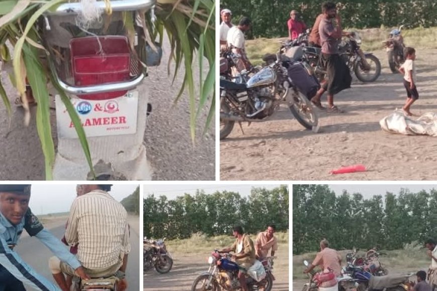 حملة مرورية في الحديدة تضبط مئات المركبات والدراجات المخالفة لتعزيز السلامة العامة