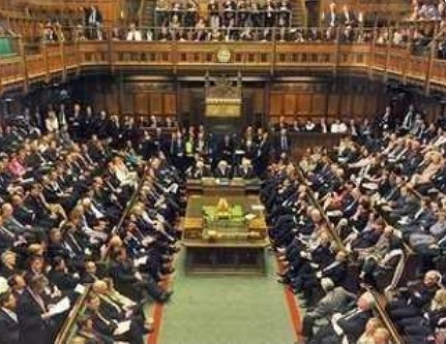 البرلمان البريطاني يصدر مذكرة تؤكد حق الجنوب في تقرير المصير..