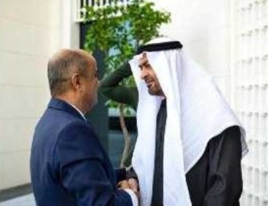 بن بريك يبحث مع بن زايد تعزيز العلاقات والتعاون المشترك....