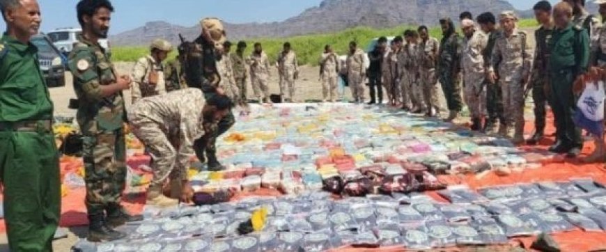 الحملة الامنية المشتركة في الصبيحة تضبط طن من المواد المخدّرة...