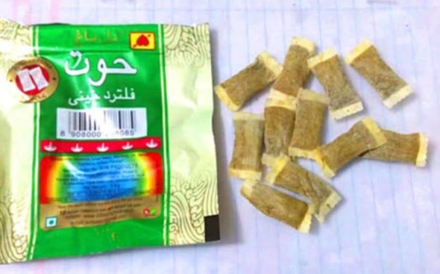 تحذيرات طبية من انتشار "شمة الحوت" بين طلاب المدارس والجامعات ..