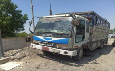 النيابة تحرر كمية كبيرة من المبيدات منتهية الصلاحية في لحج بعد ضبطها من قوات الحزام الأمني ..