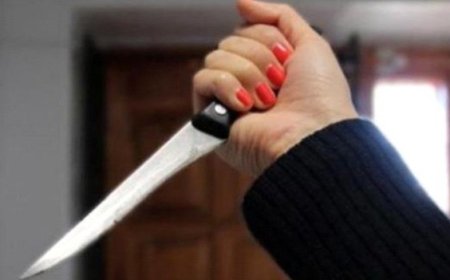 شرطة الشيخ عثمان تضبط امرأة أقدمت على طعن امرأة أخرى ...