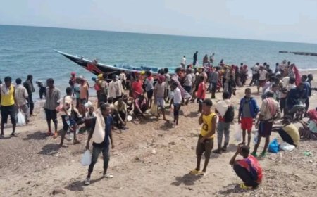 تدفّق جديد لـ255 مهاجراً إفريقياً إلى سواحل شبوة...
