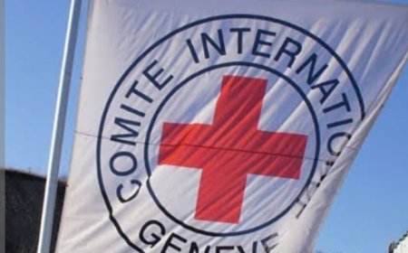 الحو...ثيين يقتحمون  مقر الصليب الأحمر في صنعاء ...