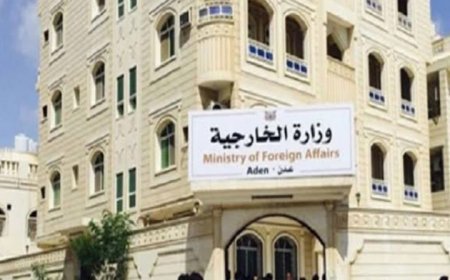 سفراء اليمن في الخارج يوجهون للرئاسي هذه الرسالة الهامة والعاجلة ...