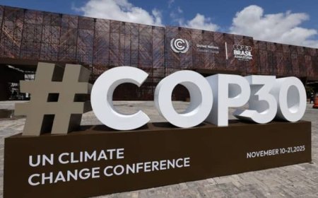 مصدر في وزارة المياه والبيئة: الأرقام المتداولة عن وفد اليمن إلى COP30 غير دقيقة… ودور الحكومة يقتصر على الإجراءات الفنية دون تمويل المشاركين