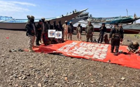 قوات العمالقة الجنوبية تحبط تهريب 600 ألف حبة كبتاجون قرب باب المندب...