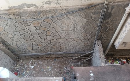 الناشط السياسي عارف ناجي علي:يثمّن استجابة سلطات المعلا لرفع المخلفات ويطالب بإجراءات رادعة لوقف رمي القمامة من النوافذ