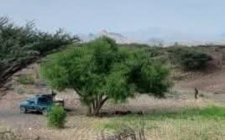 عاجل:توتر أمني كبير في الوازعية بين قوات تابعة لطارق صالح وأفراد قبيلة المشاولة(تفاصيل أولية )