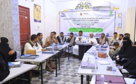 مؤسسة فتيات مأرب تختتم دورة تأهيلية ل25 شابًا وشابة من مخيمات النزوح لقيادة حملات مناصرة مجتمعية...