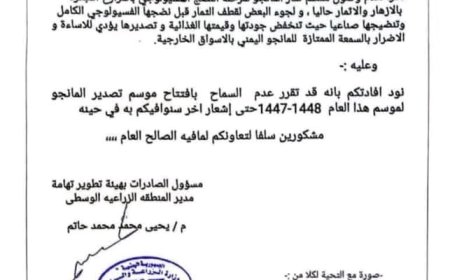 قرار هيئة تطوير تهامة الحو....ثية يغلّق موسم تصدير المانجو أمام المزارعين..