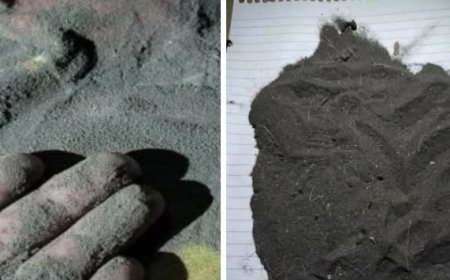 بيئة بالحديدة تدعو المواطنين لأخذ الاحتياطات الاحترازية عند التعرض للرماد البركاني القادم من أفريقيا...