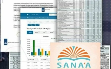 تمويل ضخم من هولندا لمركز صنعاء: تساؤلات حول فعالية “سلام بلا أثر”....